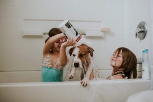 Two little girls jump in the bathtub to give their dog a bath