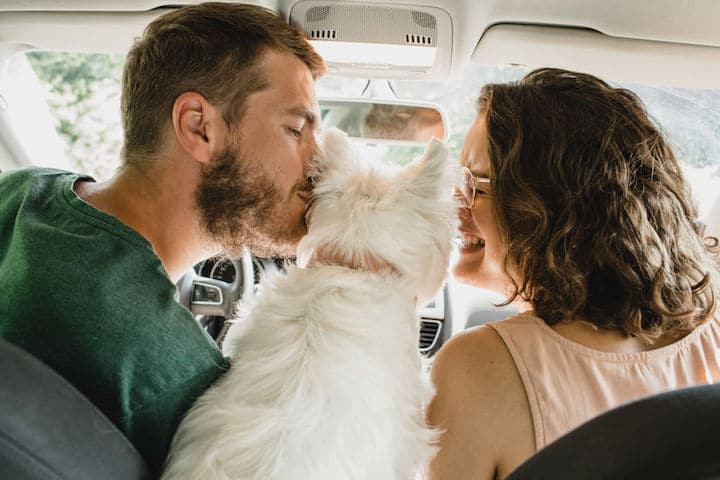 A couple in a car gives their western dog a kiss on the face as he sticks his head between the two front seats