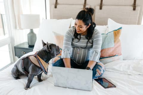 Femme enceinte travaillant sur un ordinateur portable au lit avec un bouledogue français